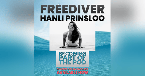 Becoming Part of the Pod: Hanli Prinsloo and how freediving connects her with marine wildlife Becoming Part of the Pod: Hanli Prinsloo and how freediving connects her with marine wildlife