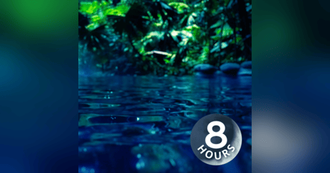 Water Sounds for Sleep or Focus 8 Hours | White Noise Stream Water Sounds for Sleep or Focus 8 Hours | White Noise Stream