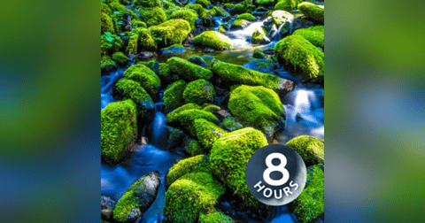 Relaxing Water Sounds for Sleep, Stress Relief, Focus | Mountain Stream White Noise 8 Hours Relaxing Water Sounds for Sleep, Stress Relief, Focus | Mountain Stream White Noise 8 Hours