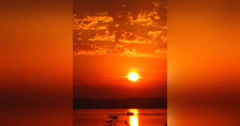 Revolution vs Evolution and the Art of A Coherent Community During Turbulent Times Revolution vs Evolution and the Art of A Coherent Community During Turbulent Times