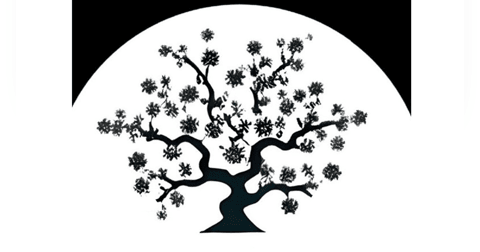 S3-E35 - Bits and Pieces (of Stinky Tofu 臭豆腐) and a Pre-Announcement Announcement S3-E35 - Bits and Pieces (of Stinky Tofu 臭豆腐) and a Pre-Announcement Announcement