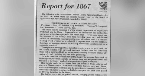 S1 E5: Smallpox: History and Herd Immunity Part 4 S1 E5: Smallpox: History and Herd Immunity Part 4