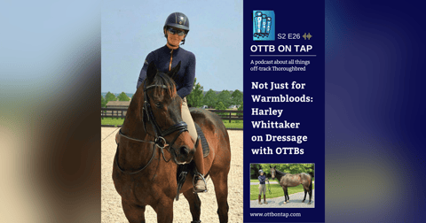 S2 E26: Not Just for Warmbloods: Harley Whittaker on Dressage with OTTBs S2 E26: Not Just for Warmbloods: Harley Whittaker on Dressage with OTTBs