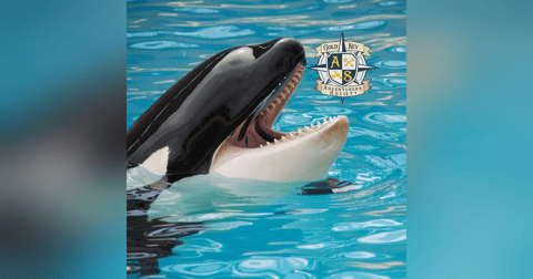 Travel Final Exams Pt. 2:Theme Parks Travel Final Exams Pt. 2:Theme Parks