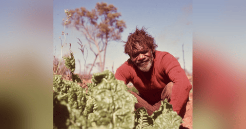 Maudie, Alice, and the Flower Well Mob: Brief Voices of First Australians, Deserts Apart Maudie, Alice, and the Flower Well Mob: Brief Voices of First Australians, Deserts Apart
