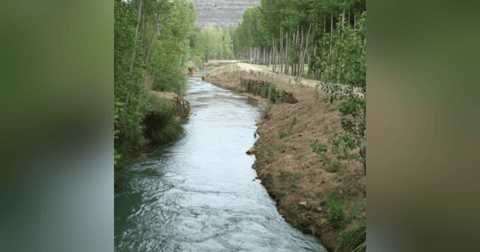 Historias de Miedo Junio 22 2021 UN ALIEN EN EL RIO Historias de Miedo Junio 22 2021 UN ALIEN EN EL RIO