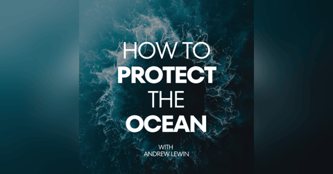 Nature, Law and the High Seas: Can Direct Action Save the Ocean? Nature, Law and the High Seas: Can Direct Action Save the Ocean?