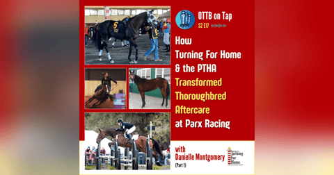 S2 E17: How Turning For Home & the PTHA Transformed Thoroughbred Aftercare at Parx Racing S2 E17: How Turning For Home & the PTHA Transformed Thoroughbred Aftercare at Parx Racing