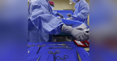 Historias de Miedo Mayo 27 de 2024 MOSCAS Historias de Miedo Mayo 27 de 2024 MOSCAS