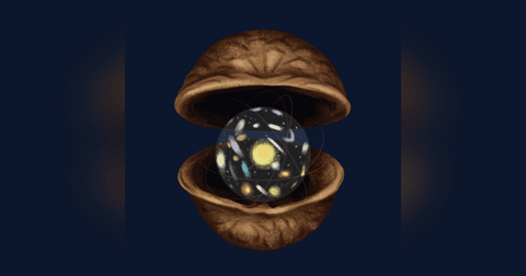 The Universe In A Nutshell: A Complimentary Guide The Universe In A Nutshell: A Complimentary Guide