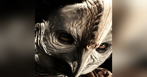 La Mujer Ave Historias De Terror - REDE La Mujer Ave Historias De Terror - REDE