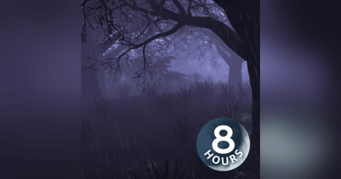 Rain & Thunder Sounds in Forest (8 Hours) | Sleep, Study or Relax with Rainstorm White Noise Rain & Thunder Sounds in Forest (8 Hours) | Sleep, Study or Relax with Rainstorm White Noise
