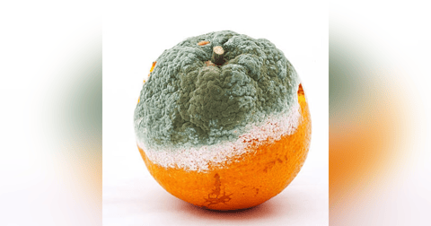 Historias de Miedo Septiembre 6 de 2022 ENERGIAS Historias de Miedo Septiembre 6 de 2022 ENERGIAS