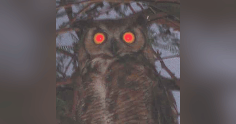 Historias de Miedo Abril 22 de 2024 EL BRUJO DE COAHUILA Historias de Miedo Abril 22 de 2024 EL BRUJO DE COAHUILA