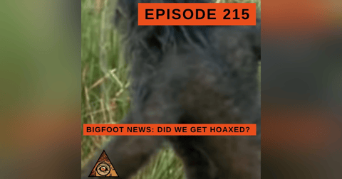 Bigfoot News (02/11/23) Did We Get Hoaxed? Bigfoot News (02/11/23) Did We Get Hoaxed?