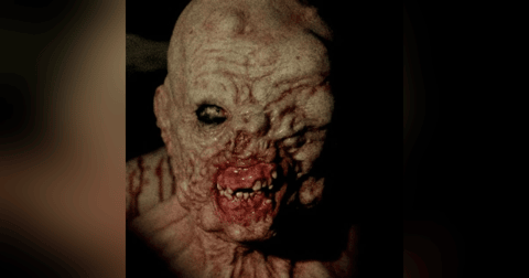 Las Criaturas De La Morgue Abandonada Historias De Terror - REDE Las Criaturas De La Morgue Abandonada Historias De Terror - REDE