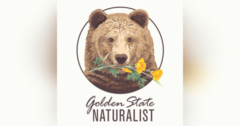 Monarch Butterflies with Natalie Johnston Monarch Butterflies with Natalie Johnston