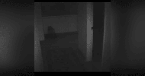 Historias de Miedo Marzo 11 2021 LA NIÑA QUE LLORABA Historias de Miedo Marzo 11 2021 LA NIÑA QUE LLORABA