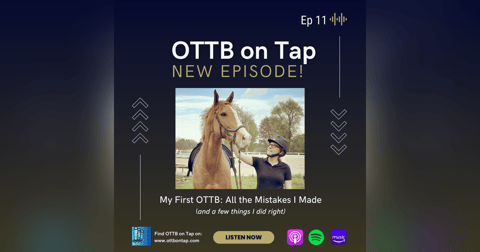 Ep. 11 -- My First OTTB: All the Mistakes I Made (and a few things I did right) Ep. 11 -- My First OTTB: All the Mistakes I Made (and a few things I did right)
