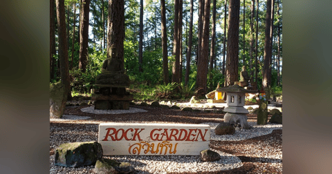 Serendipitous Visit to Local Buddhist Temple Serendipitous Visit to Local Buddhist Temple