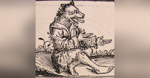 Historias de Miedo Septiembre 20 de 2022 LOS HOMBRES PERRO Historias de Miedo Septiembre 20 de 2022 LOS HOMBRES PERRO