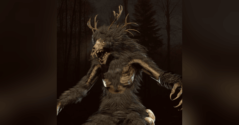 La Transformación De Una Bruja Historias De Terror - REDE La Transformación De Una Bruja Historias De Terror - REDE