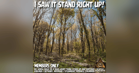 Teen Comes Face-To-Face With Giant Bigfoot South Of Bethany, Missouri | Member's Only Episode A14 Teen Comes Face-To-Face With Giant Bigfoot South Of Bethany, Missouri | Member's Only Episode A14