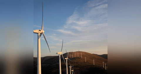 Reportajes en Es la Mañana: El macroproyecto eólico del Clúster del Maestrazgo Reportajes en Es la Mañana: El macroproyecto eólico del Clúster del Maestrazgo