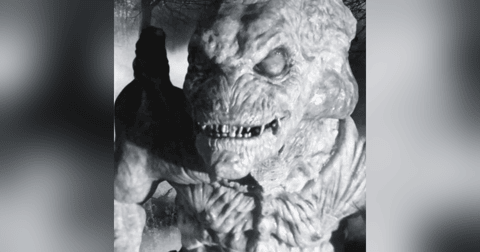 Nos Encontramos Con Un Gato Emplumado Historias De Terror - REDE Nos Encontramos Con Un Gato Emplumado Historias De Terror - REDE