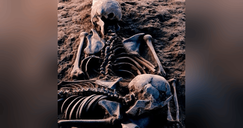 Secreto Familiar Historias De Terror - REDE Secreto Familiar Historias De Terror - REDE