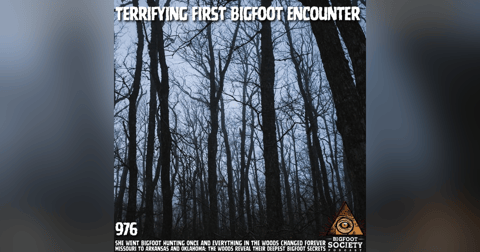 Witnesses Encounter Massive Bigfoot in Missouri Forest and Walk Away Forever Changed Witnesses Encounter Massive Bigfoot in Missouri Forest and Walk Away Forever Changed