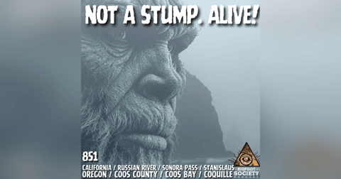 The Stump Stood Up — And Charged the Boat! | Oregon The Stump Stood Up — And Charged the Boat! | Oregon