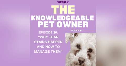 Why Tear Stains Happen and How to Manage Them Why Tear Stains Happen and How to Manage Them