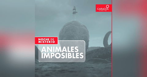 Animales imposibles Animales imposibles