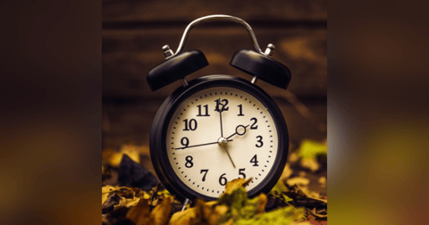 It’s The Little Things: Working to 103 and Loving It! It’s The Little Things: Working to 103 and Loving It!