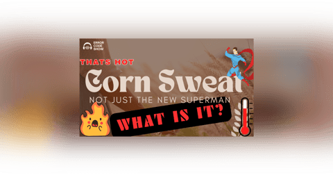 Corenswet or Corn Sweat - Superman or Plant Actions? We discuss... Corenswet or Corn Sweat - Superman or Plant Actions? We discuss...