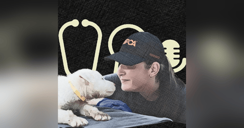 #119: You’re Already a Forensic Vet - You Just Didn’t Know It: How to Get Better at It, and Why It Matters. With Dr Elizabeth Pearlman #119: You’re Already a Forensic Vet - You Just Didn’t Know It: How to Get Better at It, and Why It Matters. With Dr Elizabeth Pearlman