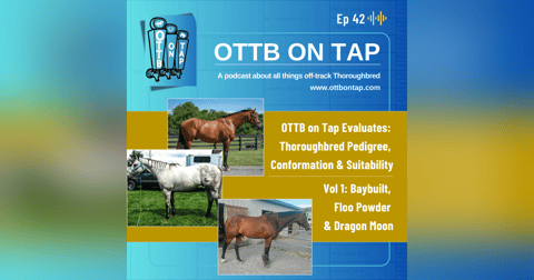 Ep 42: OTTB on Tap Evaluates Thoroughbred Pedigree, Conformation & Suitability Vol 1: Baybuilt, Floo Powder & Dragon Moon Ep 42: OTTB on Tap Evaluates Thoroughbred Pedigree, Conformation & Suitability Vol 1: Baybuilt, Floo Powder & Dragon Moon
