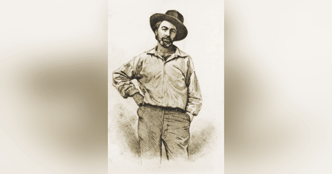 411 Walt Whitman - A New Hope 411 Walt Whitman - A New Hope