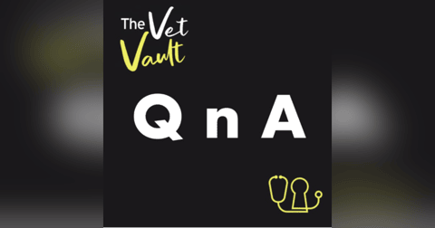 What does life as a vet look like, and other questions. What does life as a vet look like, and other questions.