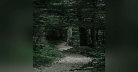 El Atajo (NAHUALES) Historias De Terror - REDE El Atajo (NAHUALES) Historias De Terror - REDE