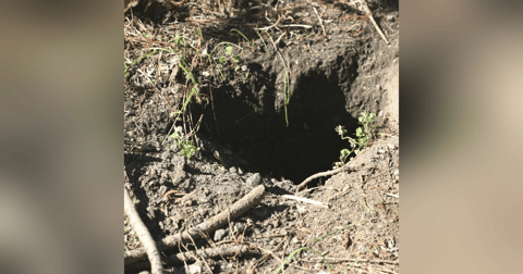 Historias de Miedo Octubre 15 de 2021 EL TESORO NO ERA PARA EL Historias de Miedo Octubre 15 de 2021 EL TESORO NO ERA PARA EL