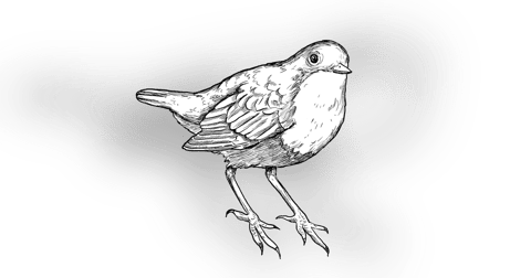 The Dipper The Dipper