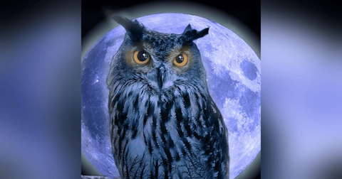 La Casa De Al Lado Historias De Terror - REDE La Casa De Al Lado Historias De Terror - REDE