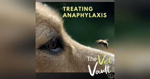 Treating anaphylaxis. With Dr Rob Webster Treating anaphylaxis. With Dr Rob Webster