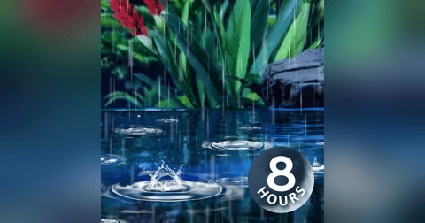 Rain Sounds for Sleep on Water | 8 Hours of Relaxation Rain Sounds for Sleep on Water | 8 Hours of Relaxation