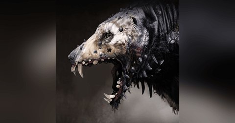 Tierra De Nahuales (Los Hombres Perro) Historias De Terror - REDE Tierra De Nahuales (Los Hombres Perro) Historias De Terror - REDE