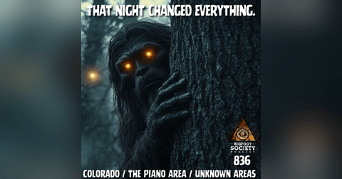 She Screamed, ‘It’s Evil’ — And Then the Forest Changed | Colorado She Screamed, ‘It’s Evil’ — And Then the Forest Changed | Colorado