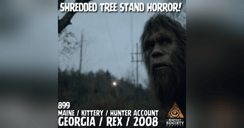 He Saw It. It Saw Him. Then It Destroyed Everything. He Saw It. It Saw Him. Then It Destroyed Everything.