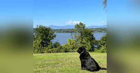 105. The River 105. The River